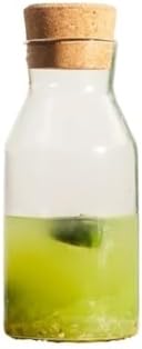 Cold Kettle Borosilicate Water Pitcher 800ml Set
