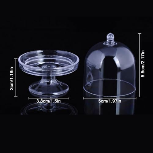 12 Pack Clear Cake Stand with Lid for Desserts