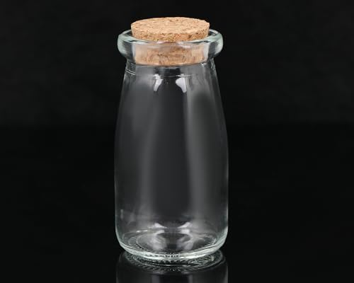 Set of 6 Mini Glass Pudding Jars with Cork Lids