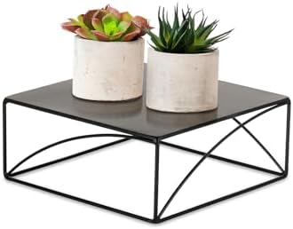 NUPTIO Metal Cake Stand Set 10 Inch Black Display Stand
