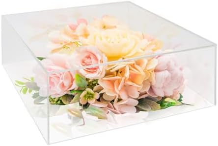 NOKI 10 Inch Square Acrylic Cake Stand with Hollow Bottom
