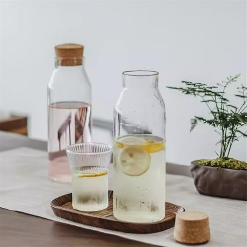 Cold Kettle Borosilicate Water Pitcher 800ml Set
