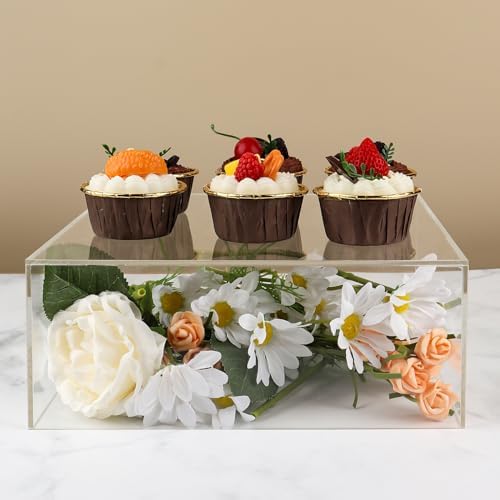 NOKI 10 Inch Square Acrylic Cake Stand with Hollow Bottom
