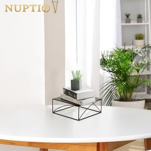 NUPTIO Metal Cake Stand Set 10 Inch Black Display Stand