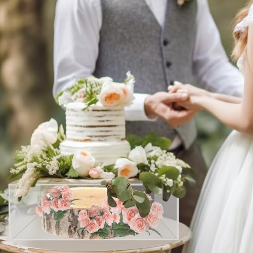 NOKI 10 Inch Square Acrylic Cake Stand with Hollow Bottom
