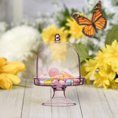 12 Pack Clear Cake Stand with Lid for Desserts