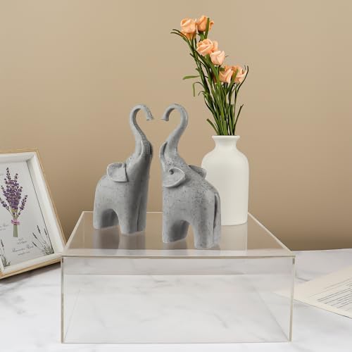 NOKI 10 Inch Square Acrylic Cake Stand with Hollow Bottom