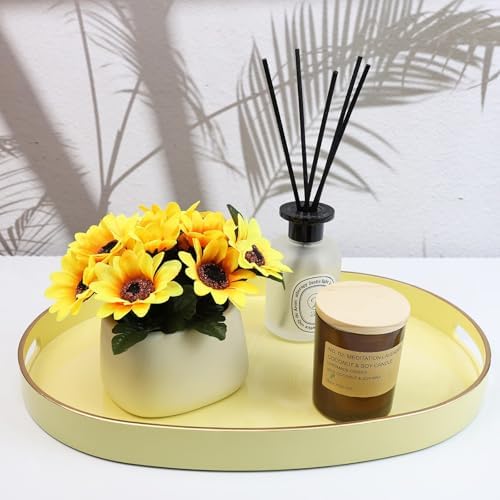 Spsyrine Oval Serving Tray for Ottoman and Coffee Table