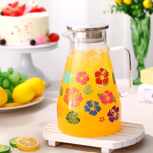 Domensi 74 Oz Glass Pitcher with Lid and Handles