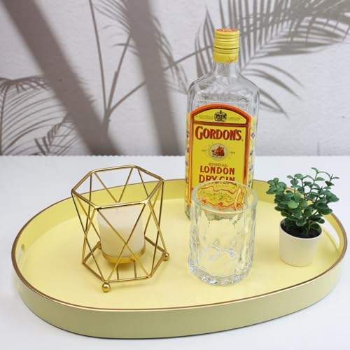 Spsyrine Oval Serving Tray for Ottoman and Coffee Table