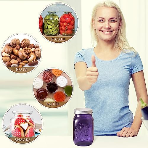 Tessco 6 Pcs Purple Colored Mason Jars with Lids for Canning and Decor