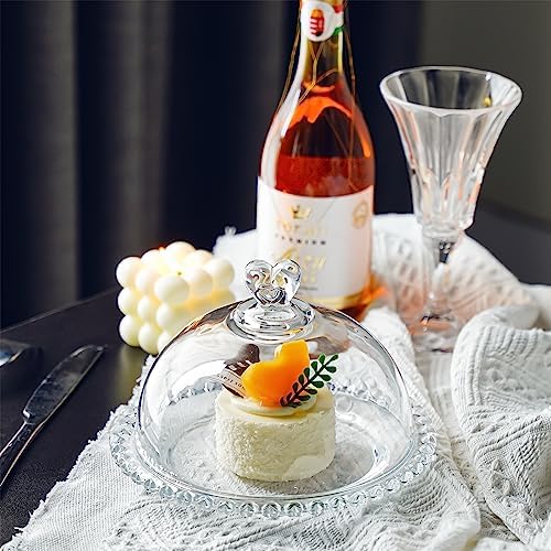 Kanpura 7 Inch Clear Glass Cake Plate with Dome Cover