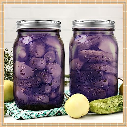 Tessco 6 Pcs Purple Colored Mason Jars with Lids for Canning and Decor