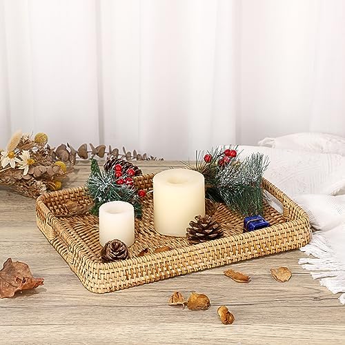 Hipiwe Handwoven Rattan Serving Tray with Handles