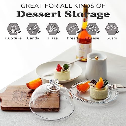 Kanpura 7 Inch Clear Glass Cake Plate with Dome Cover