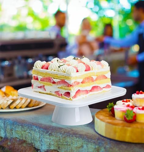 White 10-Inch Square Cake Stand 5-in-1 Multi-Purpose Use