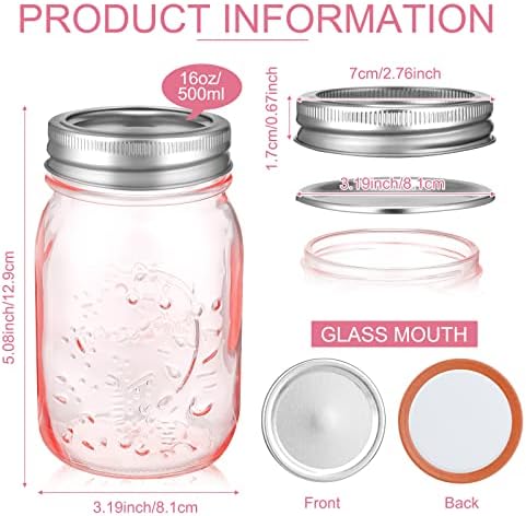10 Pack Pink Mason Jars with Lids for Canning