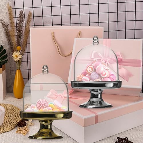 12 Pack Clear Cake Stand with Lid for Desserts