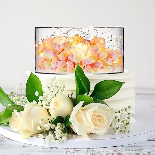 Sunnyray 2 Pcs Acrylic Cake Stands with LED String Lights