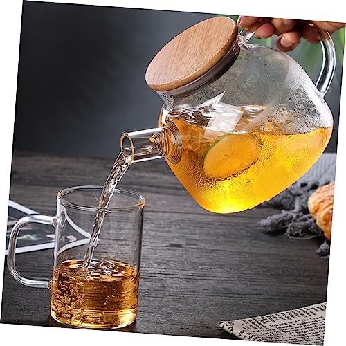STOBAZA Glass Water Pitcher with Capacity